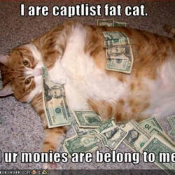 Funny-fat-cats-with-guns-300x300