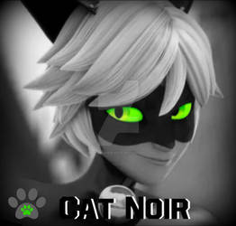 Cat Noir Icon