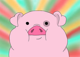 Waddles stares into your soul