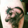 Horse Tattoo Portrait