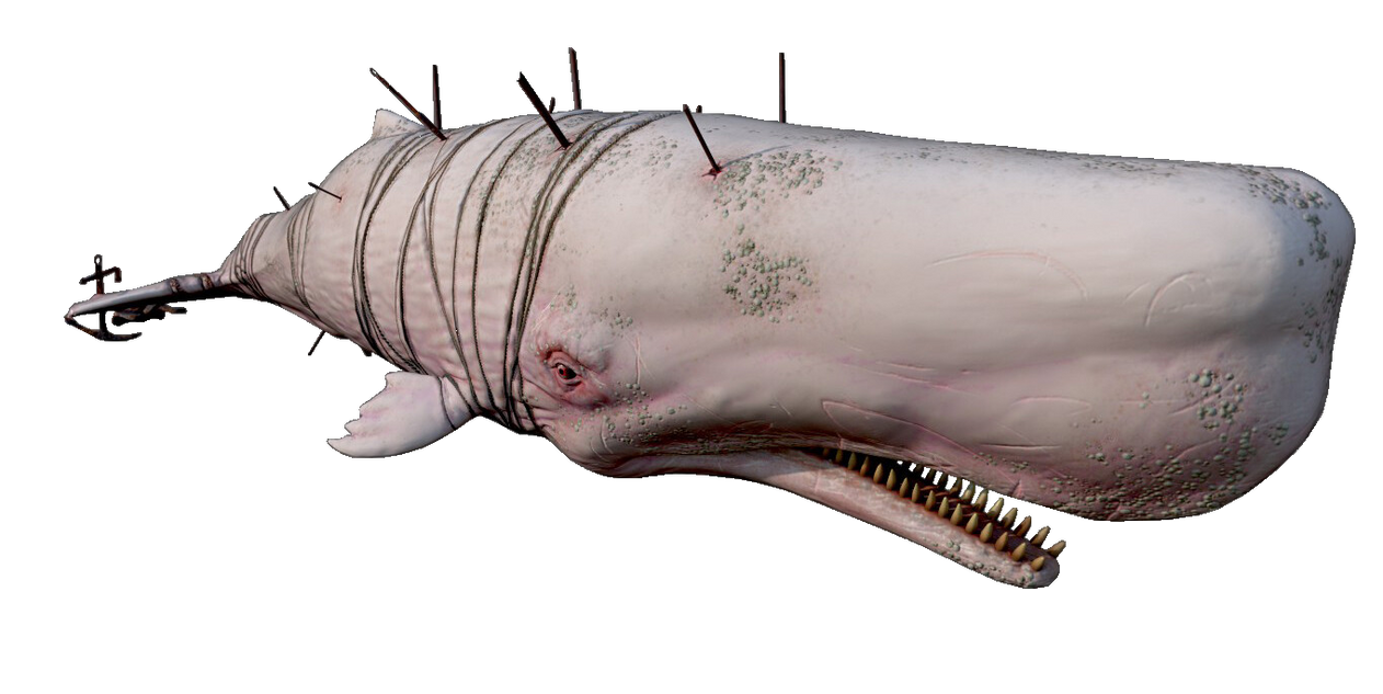 Maneater Apex Sperm Whale PNG #3 by DipperBronyPines98 on Maneater Apex Sperm Whale PNG #3 by DipperBronyPines98 on