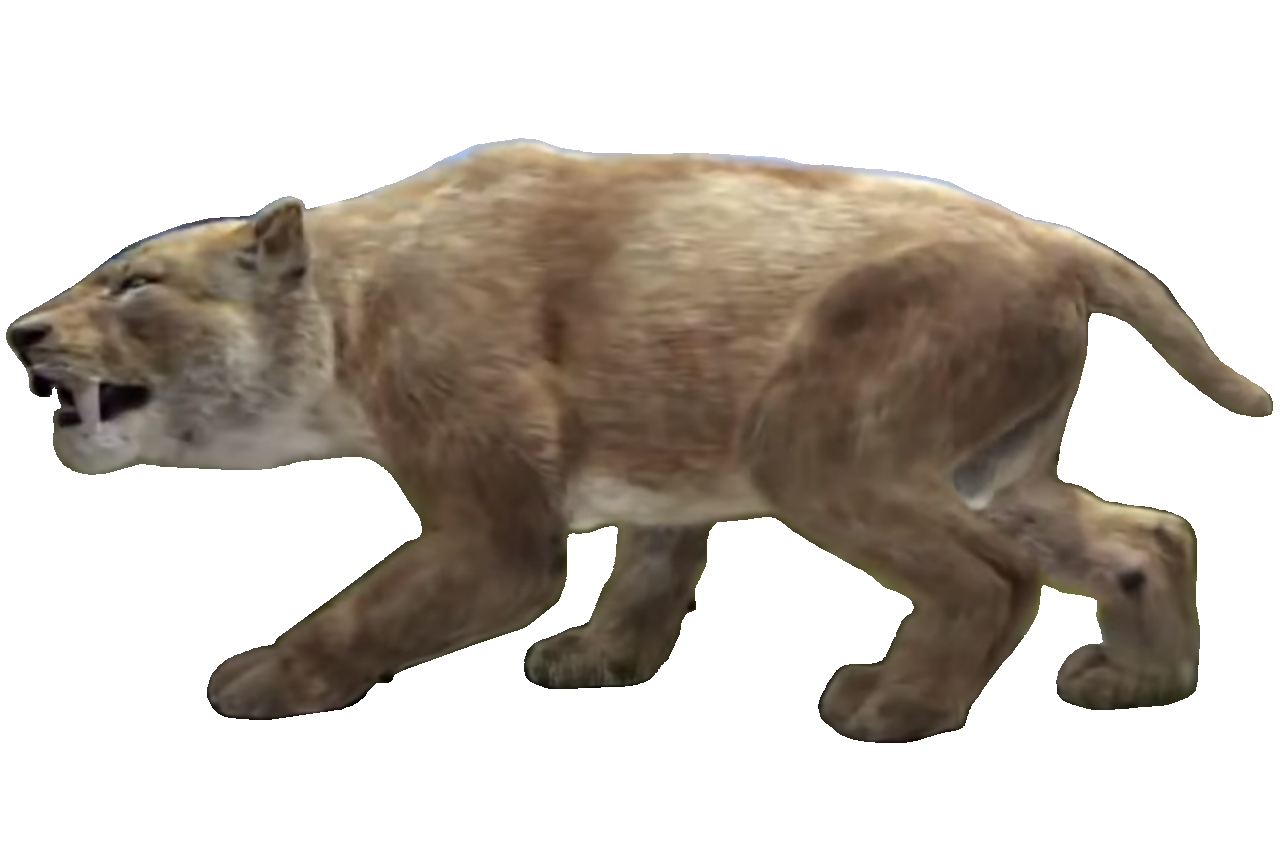 Ice Age Smilodon #4 by DipperBronyPines98 on DeviantArt