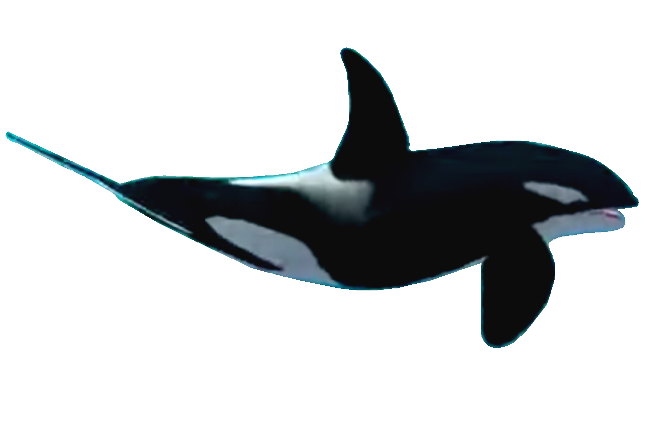 Jaws unleashed 2 deals