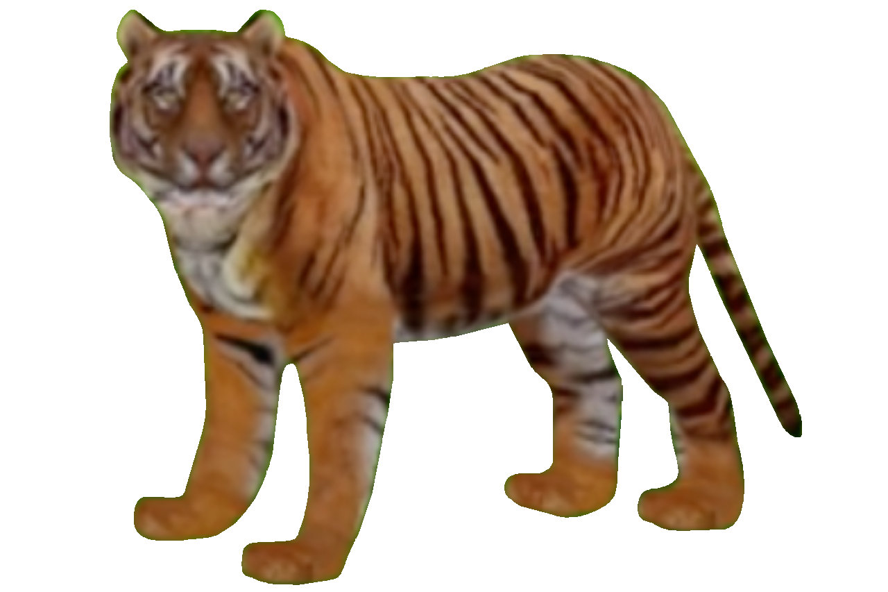 Bengal tiger on a transparent background. by ZOOSTOCK on DeviantArt