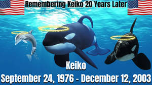 Remembering Keiko 20 Years Later #5