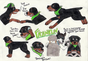 GTA V - Franklin Doodles