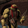 Raphael Colors