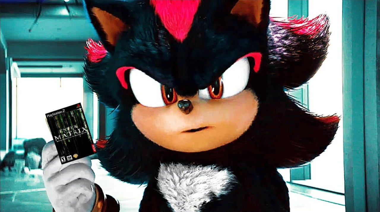 Shadow takes Enter the Matrix PS2 game by CocoBandicoot31 on DeviantArt