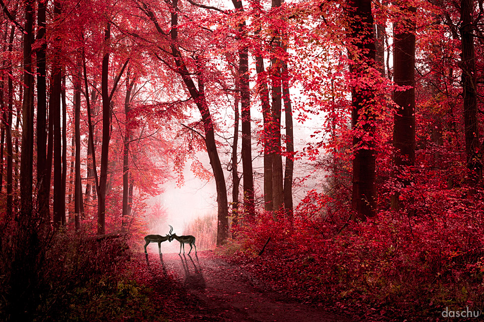 Gouche and autumn forest by MitseruMi on DeviantArt