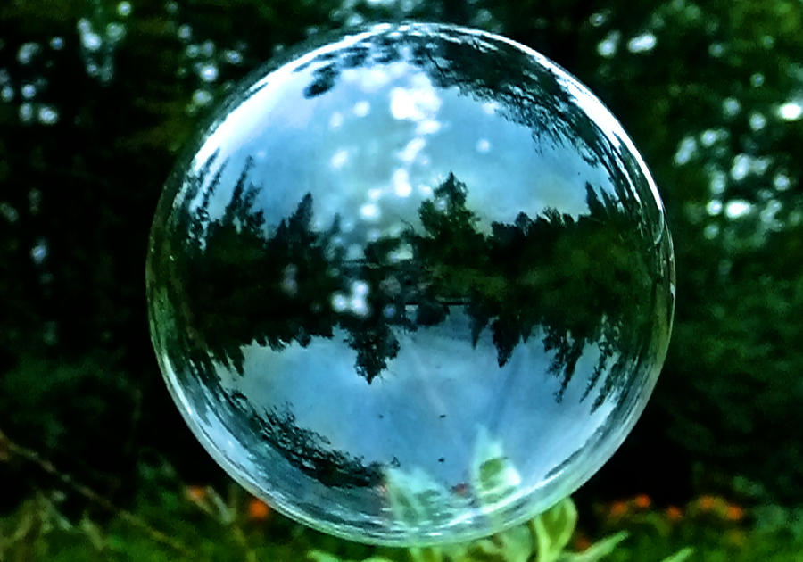 Minnesota in a Bubble