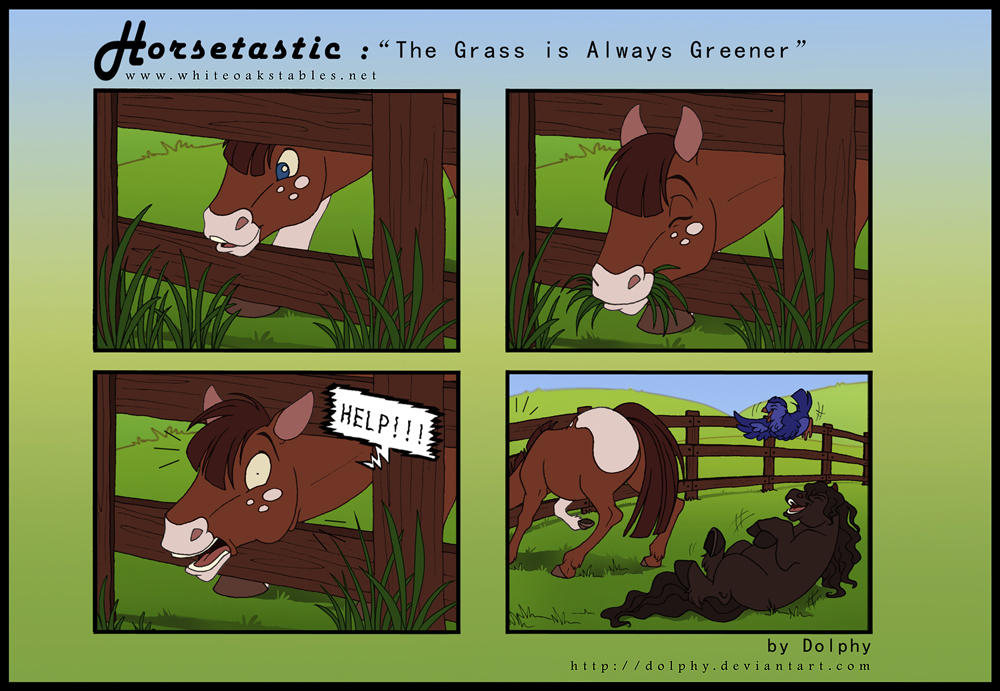 Horsetastic Always Greener By Dolphydolphiana On Deviantart