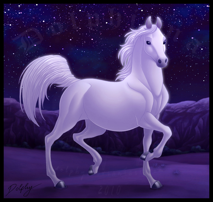 Arabian Horse