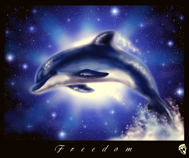 Freedom