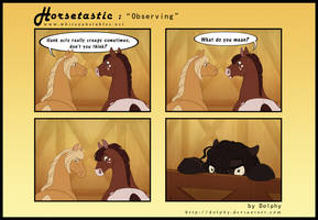 Horsetastic - Observing