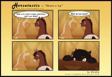 Horsetastic - Observing