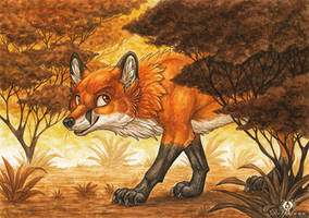 Autumn Fox