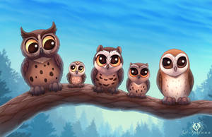 Owl Friends