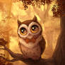 Bowtie Owl