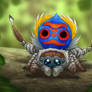 Peacock Spider