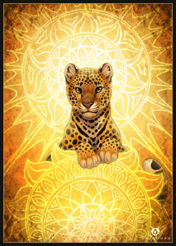 Sun Leopard