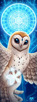 Star Owl