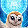 Star Owl