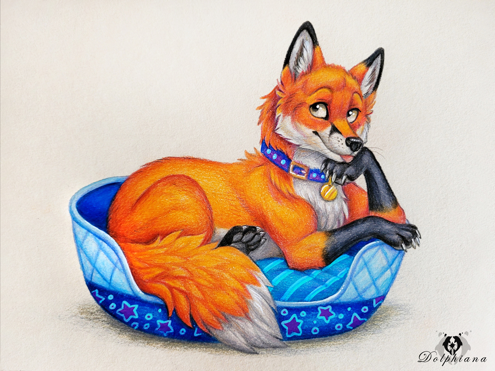 Pet Fox