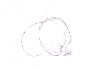 Kiwi-Hug