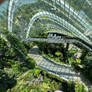 Singapore Gardens by the bay. 