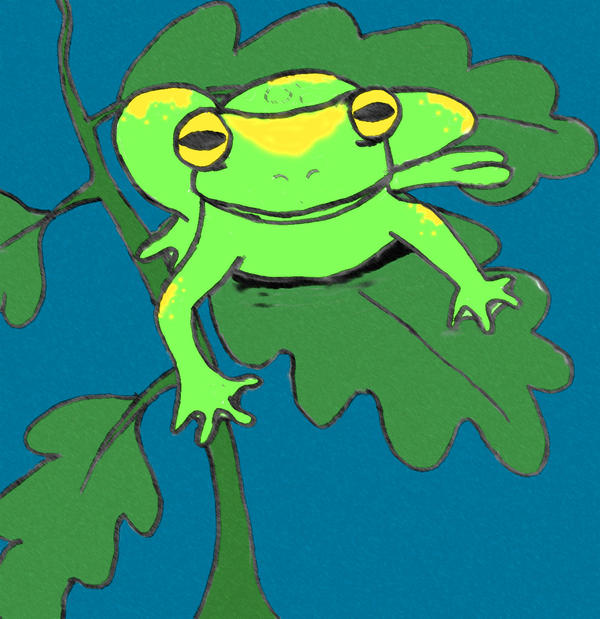 frog by khaoskitty123 on DeviantArt