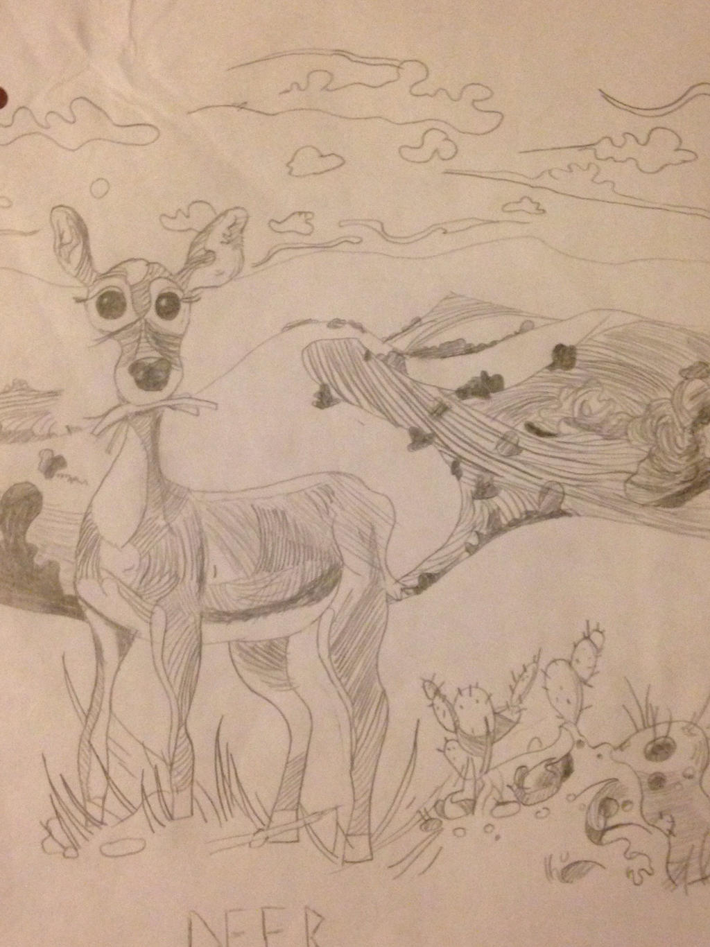 Deer