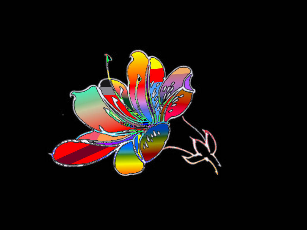 C by ynot011 on DeviantArt