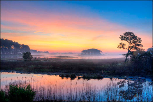 Chincoteague01