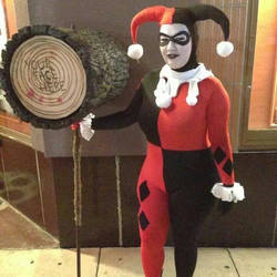 My Harley Quinn Costume