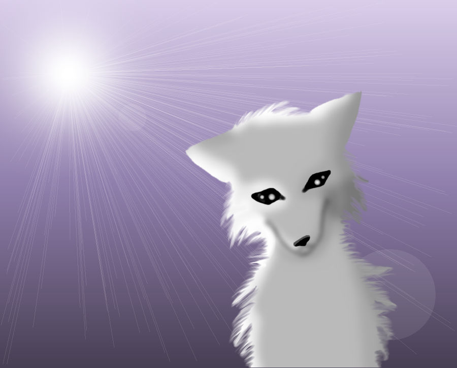 realistic white wolf by cocoa-the-puppy on DeviantArt