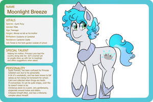 Moonlight Breeze Character Sheet