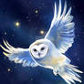 Beautiful owl and starry sky
