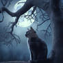 Black cat on tree at night under the Moon