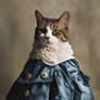 Fashionable cat. Magazine cover