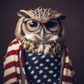 Owl wearing fashion clothes, USA flag coloured
