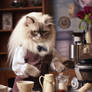 Ragdoll cat as a barista, making coffee