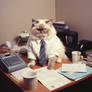 Ragdoll cat as an office worker