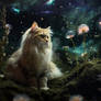 Curious ragdoll cat inside enchanted forest