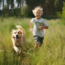 Boy with his dog running in summer field happily
