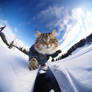 Selfie of snowboarding Cat