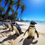 Photo of group of penguins on Caribbean beach