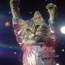 Retro disco dancing cat. Free wallpaper