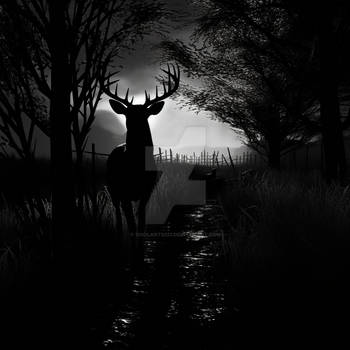 Silhouette of deer in night forest