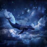 Whale in dark blue starry sky with moonlight