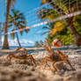 Crabs playing volleyball on sandy beach